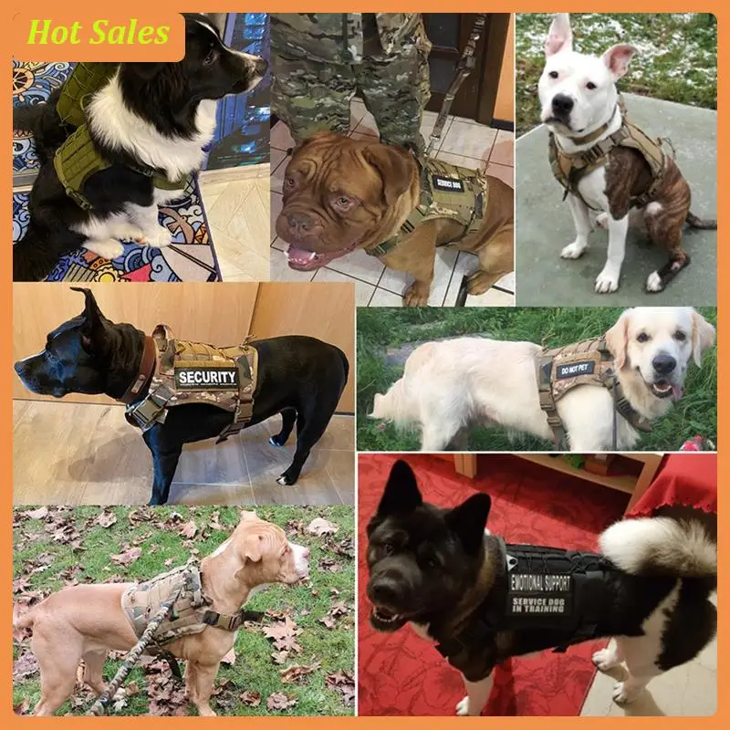 AA05 Large Dog Collar Harness And Leash Set Pet Training Vest Adjustable Harness
AA05 Large Dog Collar Harness And Leash Set Pet Training Vest Adjustable Harness
