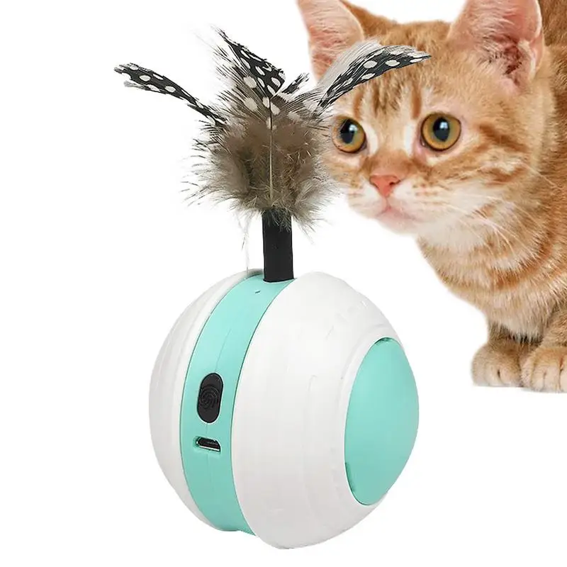 Электрический игрушечный мяч для кошек, интерактивная игрушка, кошачий тизер, мяч с хвостовым пером, 2 режима, кошачий мяч, перезаряжаемый через USB, умная игрушка для кошек
Электрический игрушечный мяч для кошек, интерактивная игрушка, кошачий тизер, мяч с хвостовым пером, 2 режима, кошачий мяч, перезаряжаемый через USB, умная игрушка для кошек