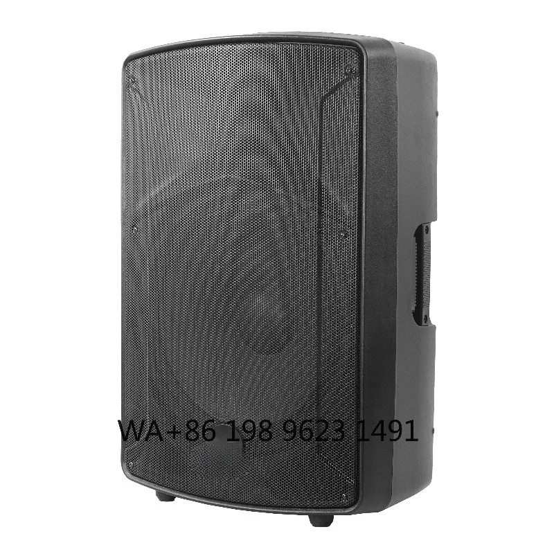 12 Inch 4Ω 93dB 100W RMS Passive PA Speaker With Audio Mixer Professional Stage Audio For Event Performance
12 Inch 4Ω 93dB 100W RMS Passive PA Speaker With Audio Mixer Professional Stage Audio For Event Performance