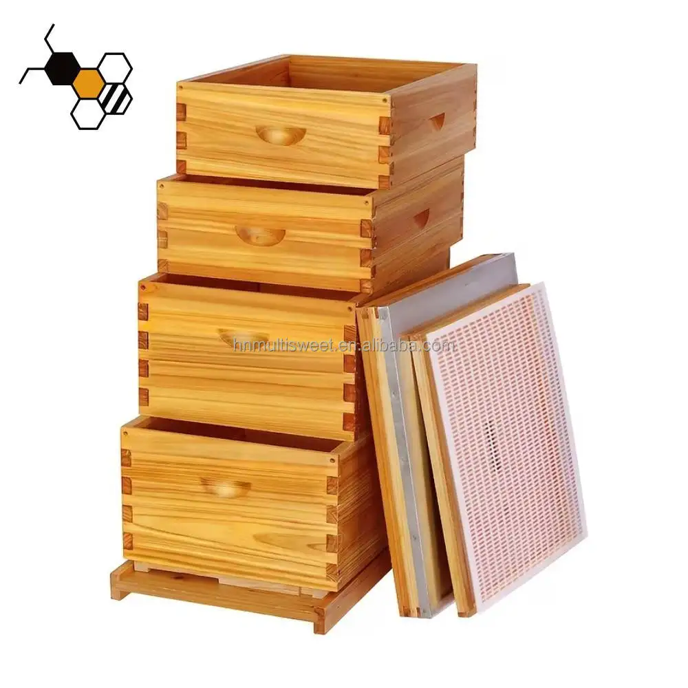 4 Layers Complete Langstroth Beehive Box 10 Frame 8 Frames Beeswax Coated Wooden Complete Set Bee Hive Starter Kit
4 Layers Complete Langstroth Beehive Box 10 Frame 8 Frames Beeswax Coated Wooden Complete Set Bee Hive Starter Kit