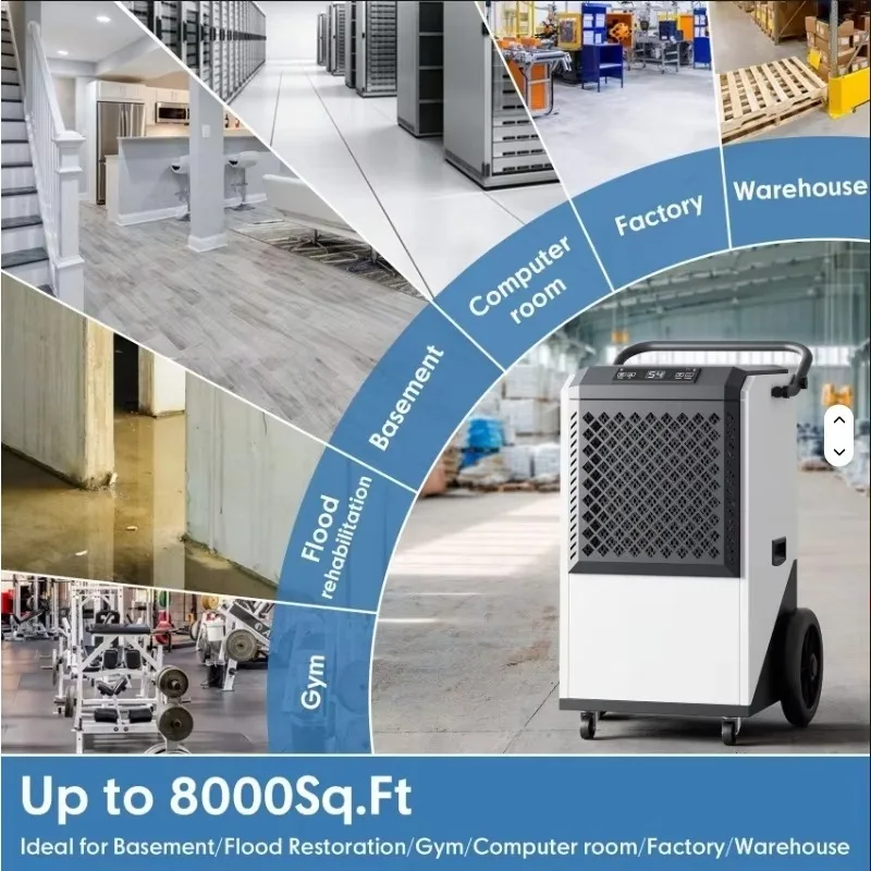 2026150L/D Basement Greenhouse Air Dehumidifier Commercial Heavy-Duty Vertical Design Dehumidifier China Moisture Dehumidifier
2026150L/D Basement Greenhouse Air Dehumidifier Commercial Heavy-Duty Vertical Design Dehumidifier China Moisture Dehumidifier
