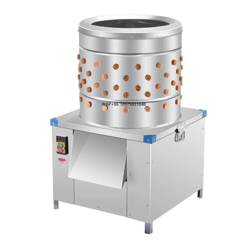 Hot Sale Automatic Chicken Plucker Steel Poultry Farm Machinery for Chicken Cleaning Plucking for Abattoir Slaughter Line
Hot Sale Automatic Chicken Plucker Steel Poultry Farm Machinery for Chicken Cleaning Plucking for Abattoir Slaughter Line