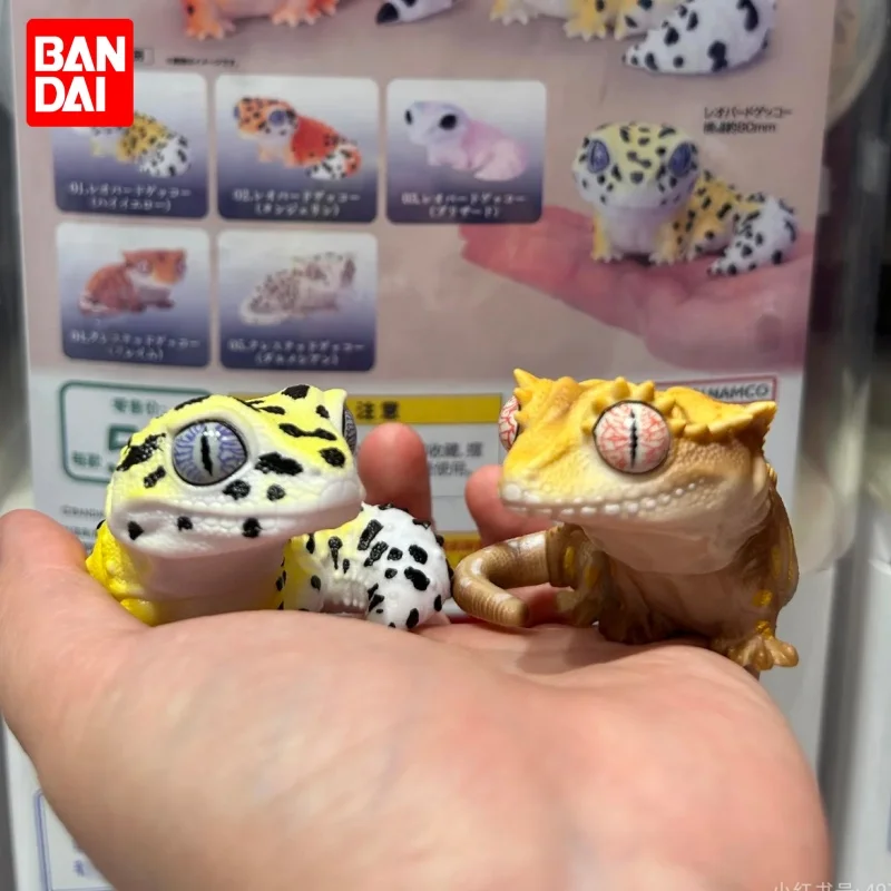 Bandai Fat-Tailed Gecko Figure Biological Illustration Book Series Vinyl Collectible Toy in Stock Trendy Blind Box Gashapon
Bandai Fat-Tailed Gecko Figure Biological Illustration Book Series Vinyl Collectible Toy in Stock Trendy Blind Box Gashapon