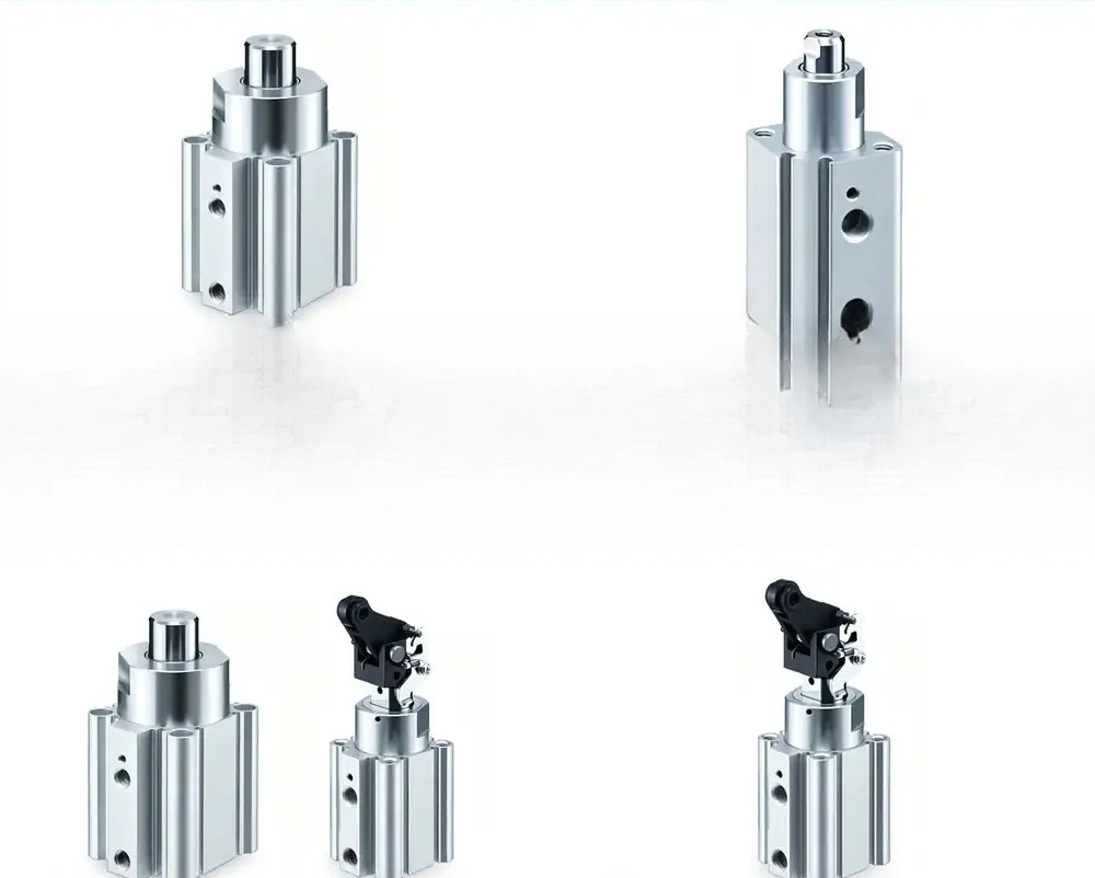 Double rod cylinder CXSWL6 CXSWM6/10/15/20/25/32-30 - 40-75-100 - XB11
Double rod cylinder CXSWL6 CXSWM6/10/15/20/25/32-30 - 40-75-100 - XB11
