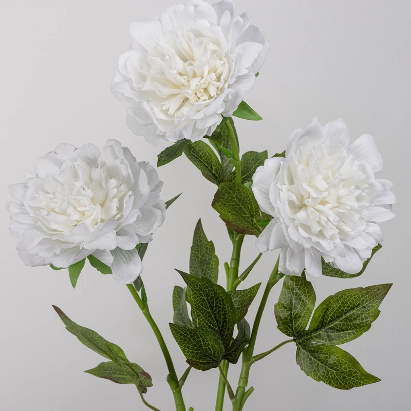 6pcs Real Touch Silk Fake Flowers Artificial Peonies Branch Hotel Decor White Flower Simulation Peony Festival Party Decoration
6pcs Real Touch Silk Fake Flowers Artificial Peonies Branch Hotel Decor White Flower Simulation Peony Festival Party Decoration