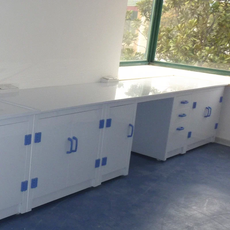High Quality Laboratory PP Side Workstation Modern Acid Alkali Resistant Lab Bench School University Hospital Lab Use
High Quality Laboratory PP Side Workstation Modern Acid Alkali Resistant Lab Bench School University Hospital Lab Use