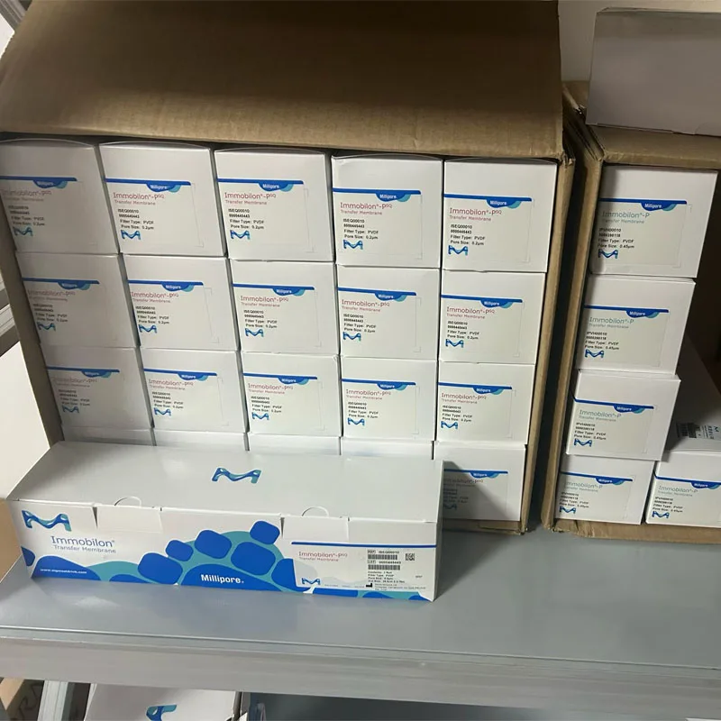 Merck Millipore PVDF/Nitrocellulose Membrane Pore Size 0.2/0.45 Μm for Western Blotting Adsorption Analysis Dot/Slot Application
Merck Millipore PVDF/Nitrocellulose Membrane Pore Size 0.2/0.45 Μm for Western Blotting Adsorption Analysis Dot/Slot Application
