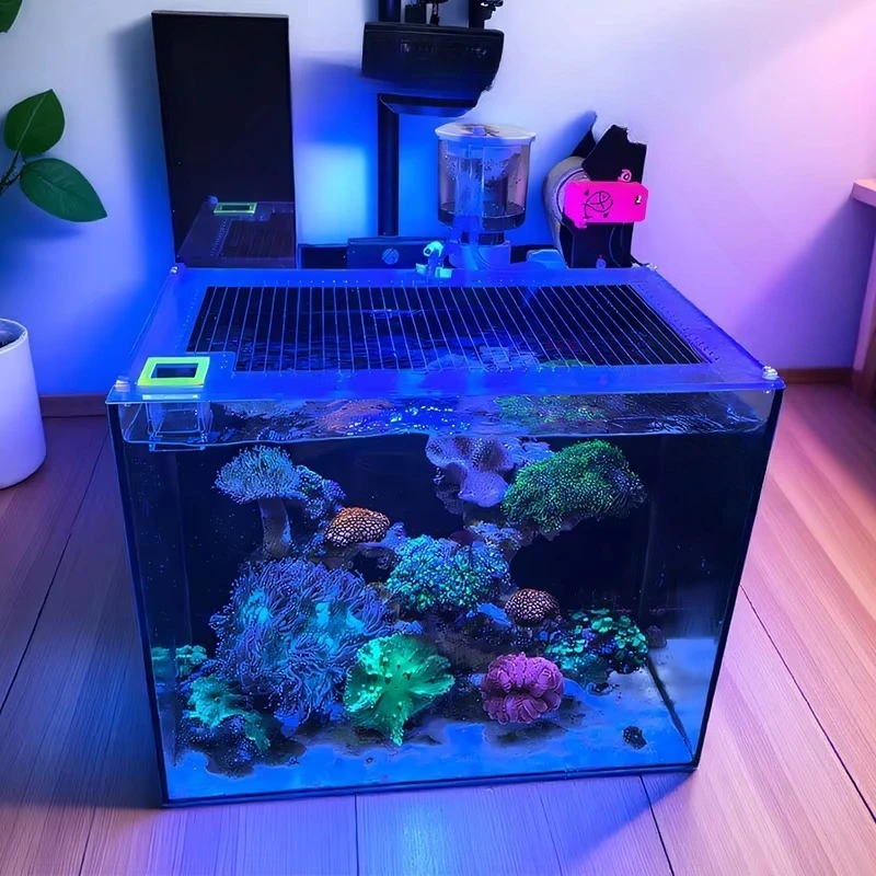 Rectangle Glass Indoor Aquarium Back Filter Tank Custom Eco-friendly 220v Freshwater Saltwater Countertop Display
Rectangle Glass Indoor Aquarium Back Filter Tank Custom Eco-friendly 220v Freshwater Saltwater Countertop Display