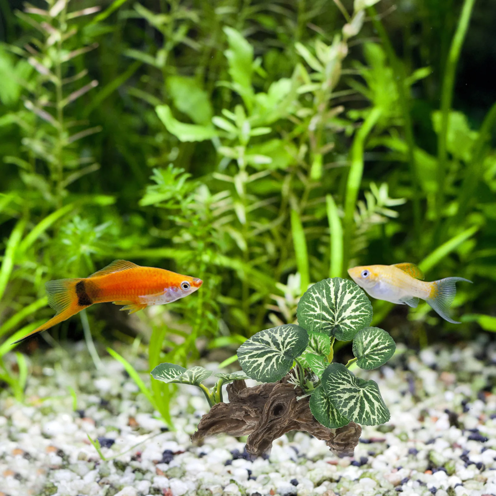 Reptile Plant Decoration Small Aquarium Enclosure Accessories Fake Greenery Vivid Resin Reptile Tank Plants nament
Reptile Plant Decoration Small Aquarium Enclosure Accessories Fake Greenery Vivid Resin Reptile Tank Plants nament