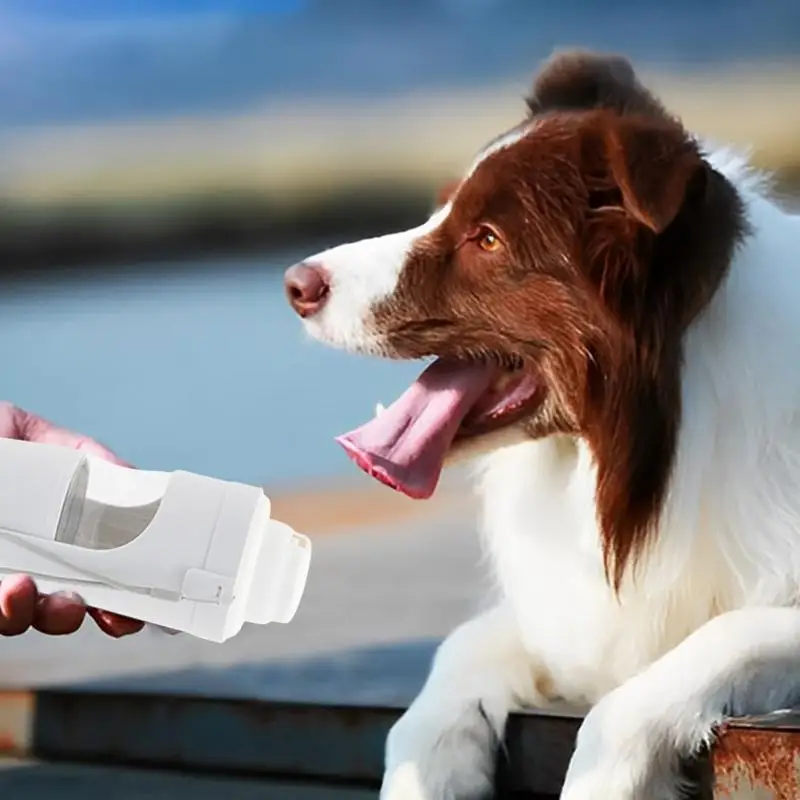 Dog Water Bottles For Walking Leakproof Drinking Feeder Pet Water Dispenser Feeder Clear Dog Travel Water Dispenser Dog Water
Dog Water Bottles For Walking Leakproof Drinking Feeder Pet Water Dispenser Feeder Clear Dog Travel Water Dispenser Dog Water