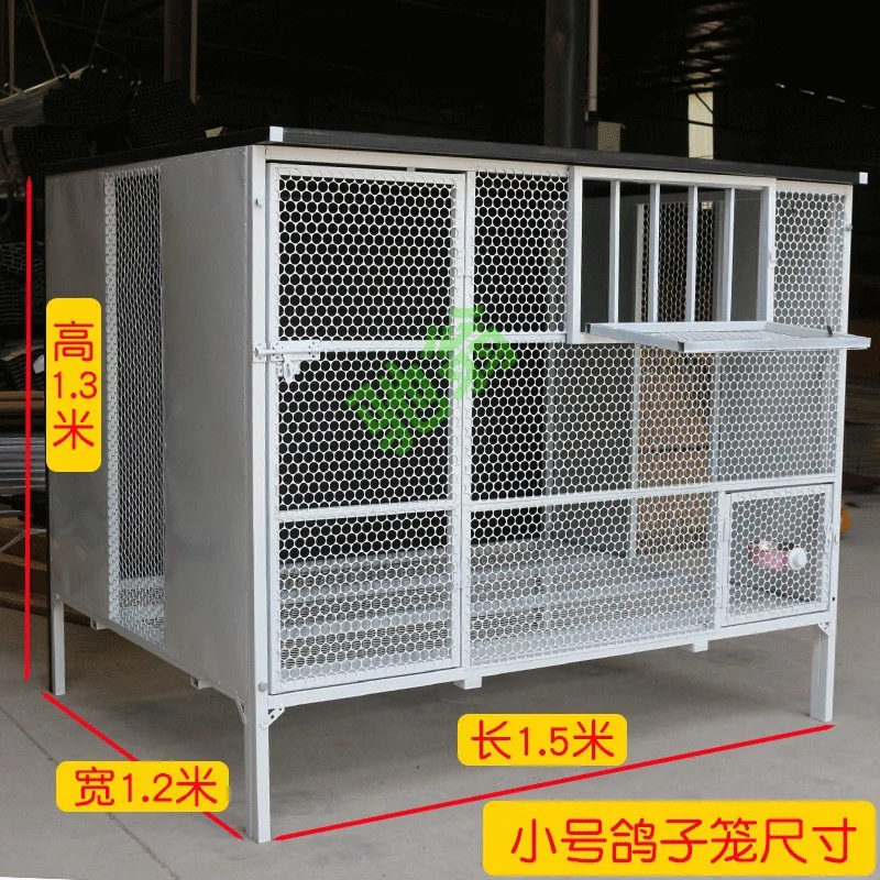 Special cage for raising pigeons Extra large homing pigeon public shed release cage training cage outdoor rain-proof, mouse-proo
Special cage for raising pigeons Extra large homing pigeon public shed release cage training cage outdoor rain-proof, mouse-proo