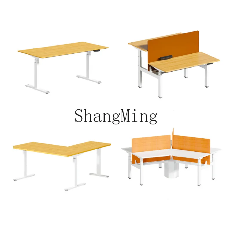 DSA lifting table height adjustable table electric lifting computer table home desk desk
DSA lifting table height adjustable table electric lifting computer table home desk desk