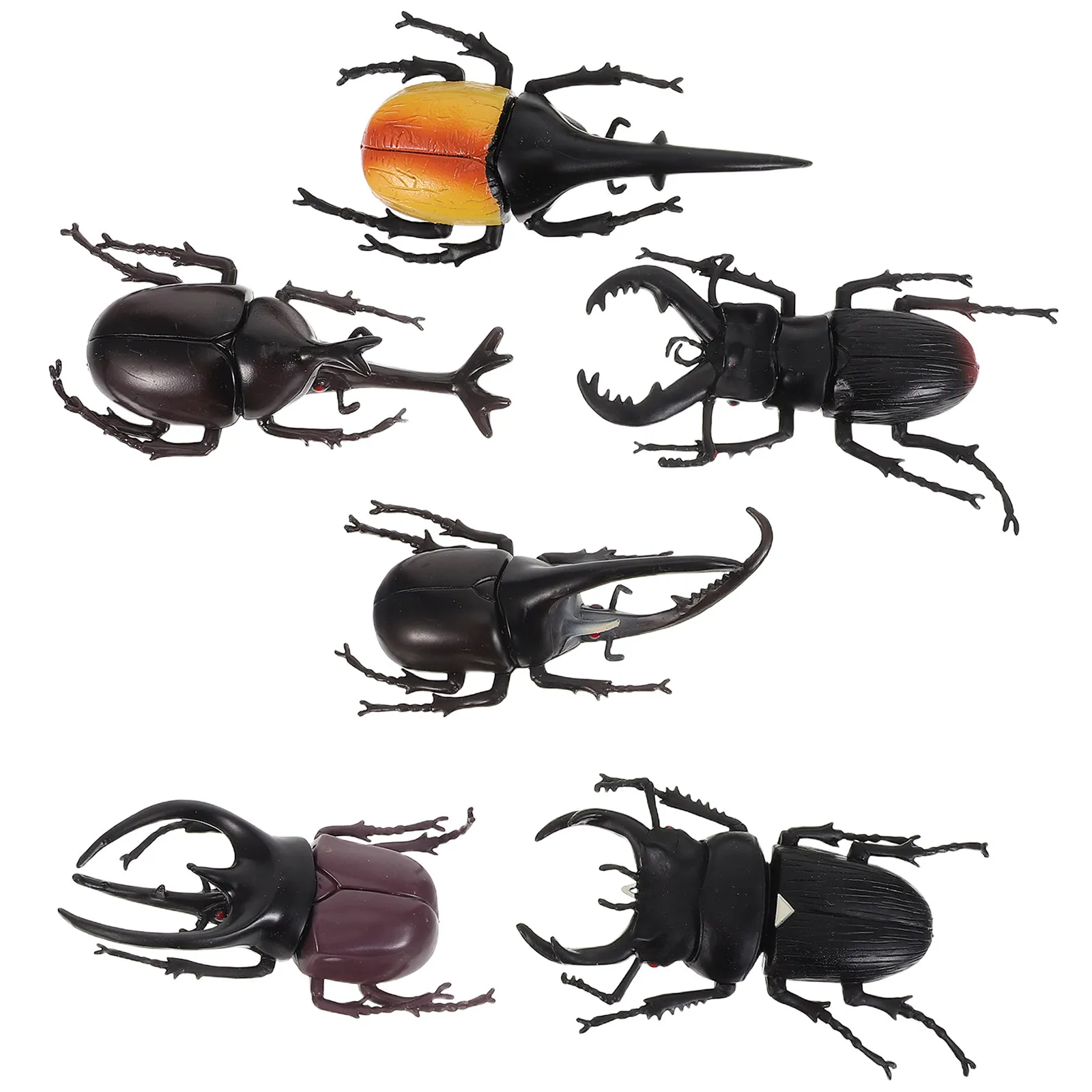 6Pcs Realistic Beetle Simulation Large Insect Display Set Stable Base for Biology Education Observation Decorative Artificial
6Pcs Realistic Beetle Simulation Large Insect Display Set Stable Base for Biology Education Observation Decorative Artificial