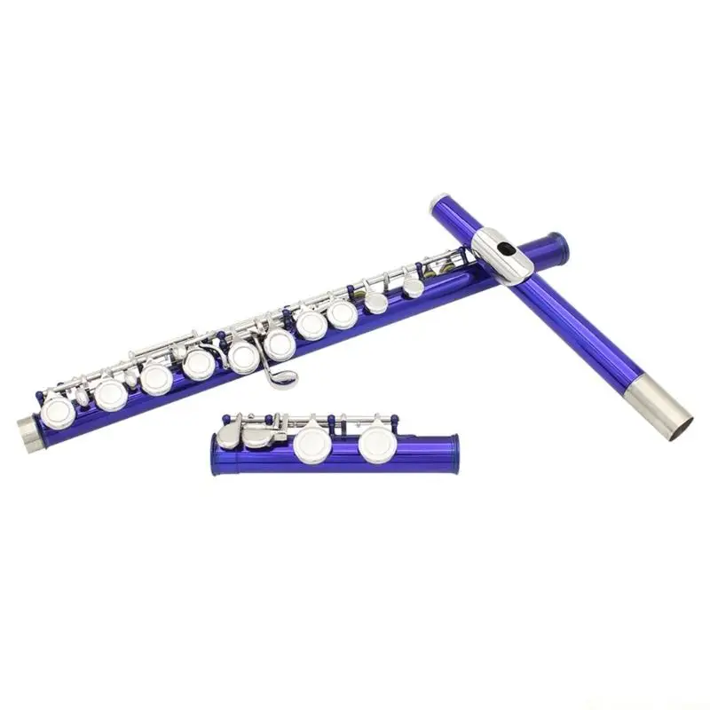 31BE Professional Horizontal Flute With Bag Cleaning Cloth Woodwind Instrument