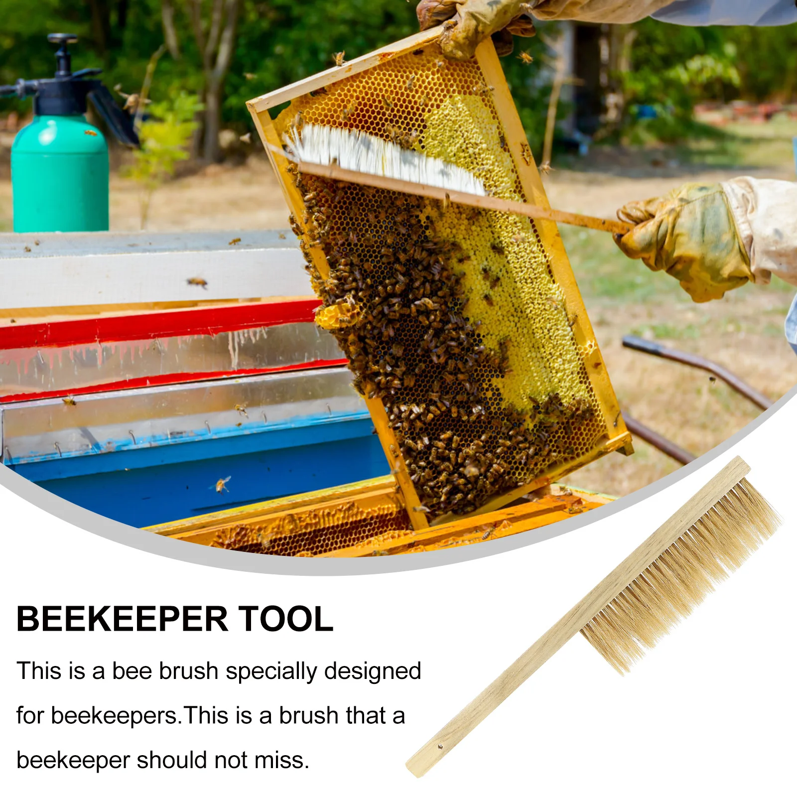 Durable Wooden Handle Compact Lightweight Design Portable Beekeeper Tool Beekeeping Supplies Accessories
Durable Wooden Handle Compact Lightweight Design Portable Beekeeper Tool Beekeeping Supplies Accessories