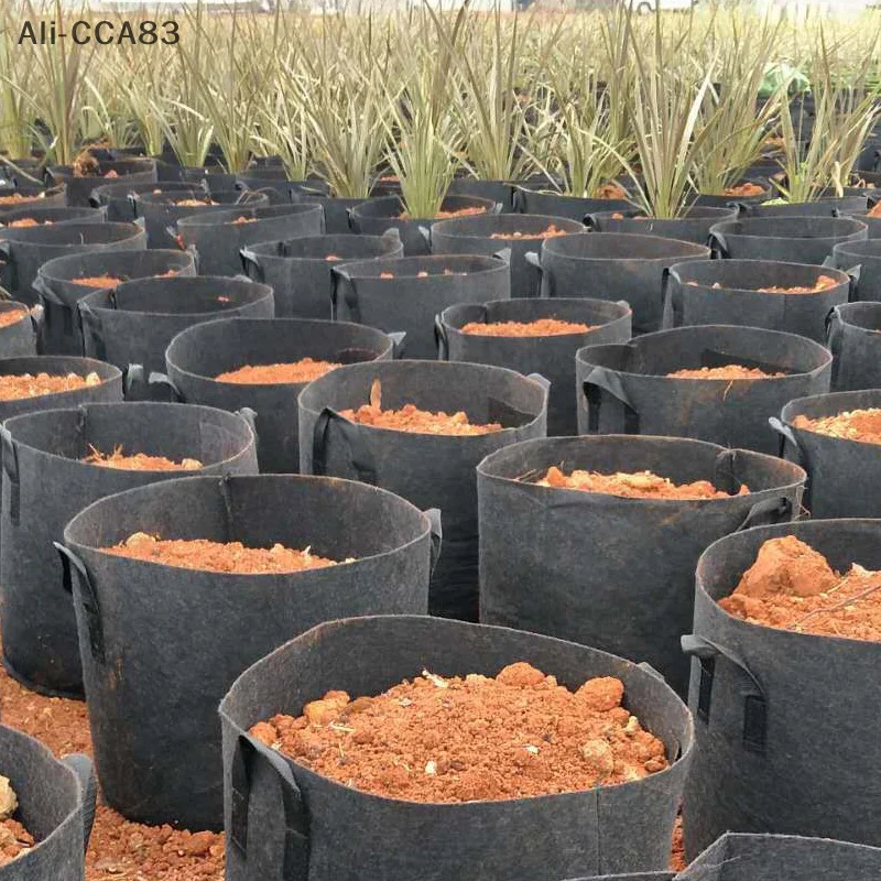 1Pc 2025 New Non-woven Flower Pot Growing Bag Vegetable Flower Potato Container Garden Plant Growing Bag
1Pc 2025 New Non-woven Flower Pot Growing Bag Vegetable Flower Potato Container Garden Plant Growing Bag