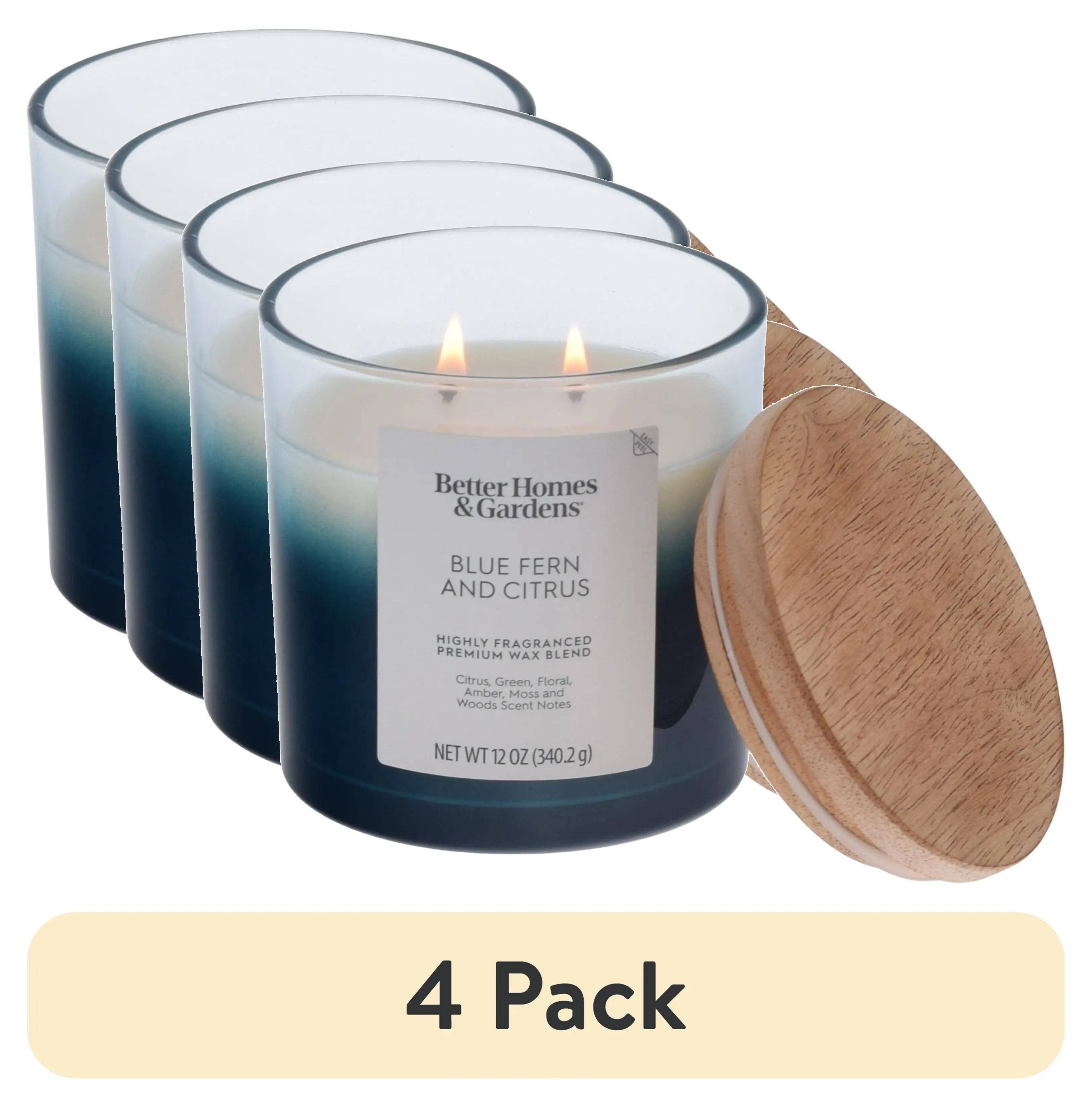 4-pack blue fern citrus scented 2-wick ombre jar candle 12 oz
4-pack blue fern citrus scented 2-wick ombre jar candle 12 oz