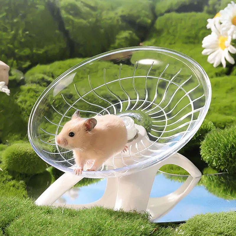Hamster Running Wheel Silent Flying Disc Running Wheel Golden Bear Exercise Machine Guinea Pig Sports Wheel Pet Toy Pet
Hamster Running Wheel Silent Flying Disc Running Wheel Golden Bear Exercise Machine Guinea Pig Sports Wheel Pet Toy Pet