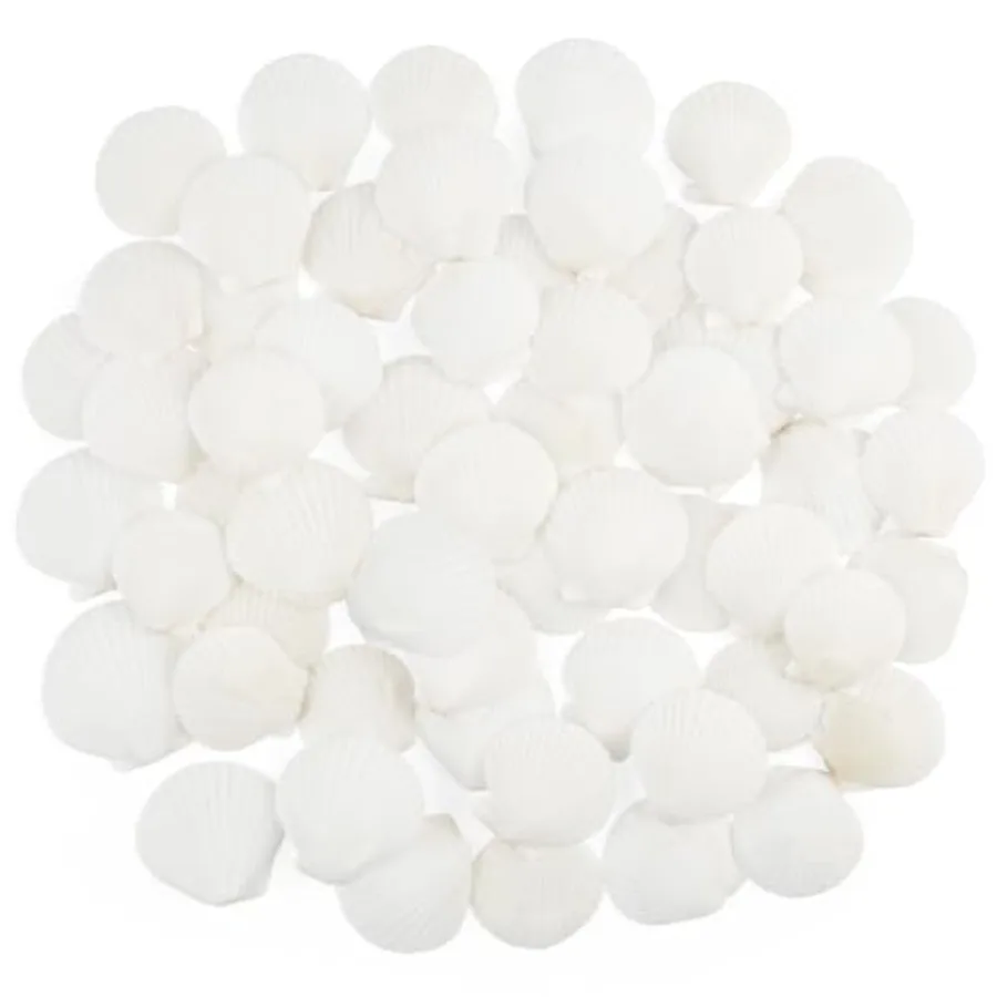 60 PCS Scallop Shells tural Seashell 1.5" to 2" White Scallop Shells Small Seashells for Crafts Wedding Decor Beach Theme Party
60 PCS Scallop Shells tural Seashell 1.5" to 2" White Scallop Shells Small Seashells for Crafts Wedding Decor Beach Theme Party