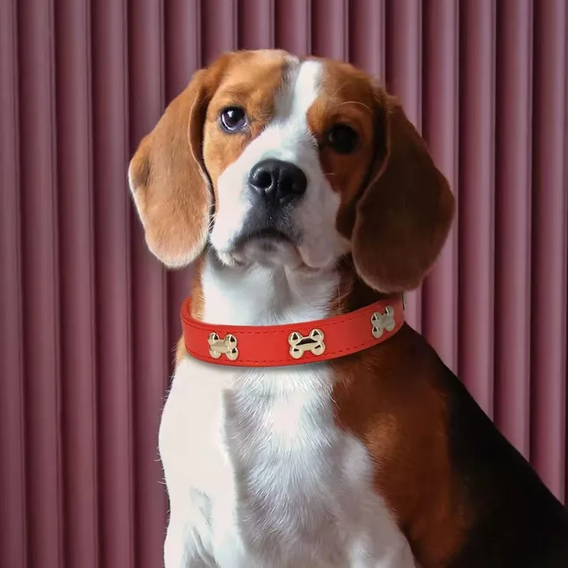 Adjustable Dog Collar Soft Leather Puppy Cat Collars Necklace Cute Bone Accessories For Small Medium Dogs Cats Chihuahua Pitbull
Adjustable Dog Collar Soft Leather Puppy Cat Collars Necklace Cute Bone Accessories For Small Medium Dogs Cats Chihuahua Pitbull