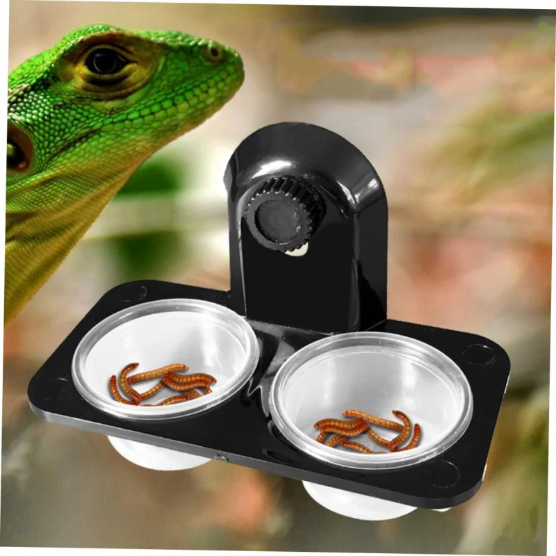 Платформа для кормления черепахи-паука Lizard Palace Guard, ящик для кормления домашних животных, ландшафтный бассейн двойного назначения
Платформа для кормления черепахи-паука Lizard Palace Guard, ящик для кормления домашних животных, ландшафтный бассейн двойного назначения
