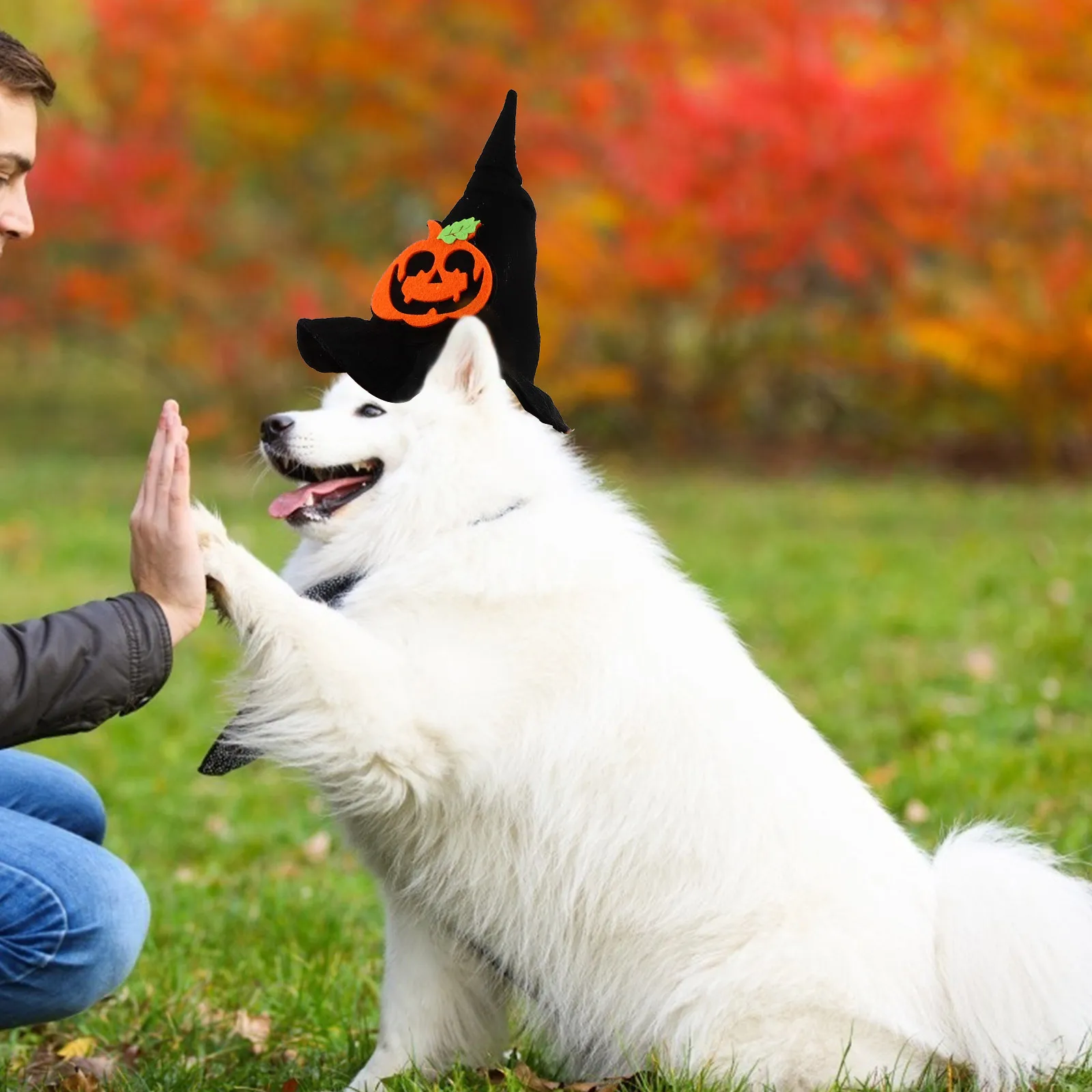 Halloween Pet Hat Headdress Decoration Party Supplies Pumpkin Design for Cats Dogs Lightweight Reusable Festive Atmosphere
Halloween Pet Hat Headdress Decoration Party Supplies Pumpkin Design for Cats Dogs Lightweight Reusable Festive Atmosphere