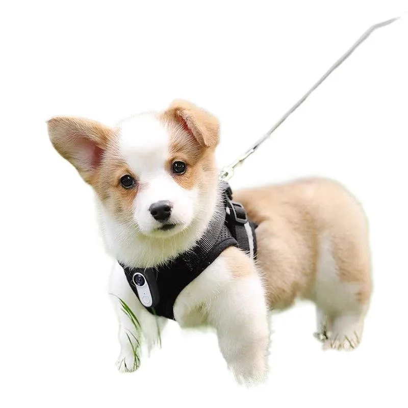 Wi-Fi pet collar, thumb camera high definition cycling sports camera, pet recorder
Wi-Fi pet collar, thumb camera high definition cycling sports camera, pet recorder