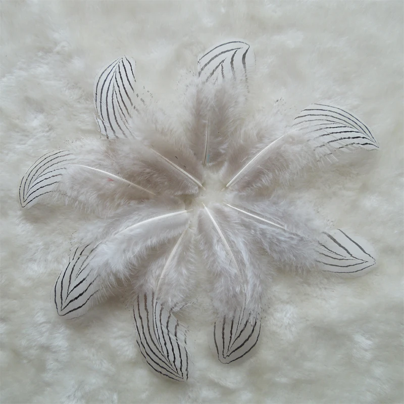 100Pcs/lot 7-12CM Natural Silver Pheasant Plumage Feather Crafts Jewelry Making Accessories Decorative Feather Wholesale
100Pcs/lot 7-12CM Natural Silver Pheasant Plumage Feather Crafts Jewelry Making Accessories Decorative Feather Wholesale