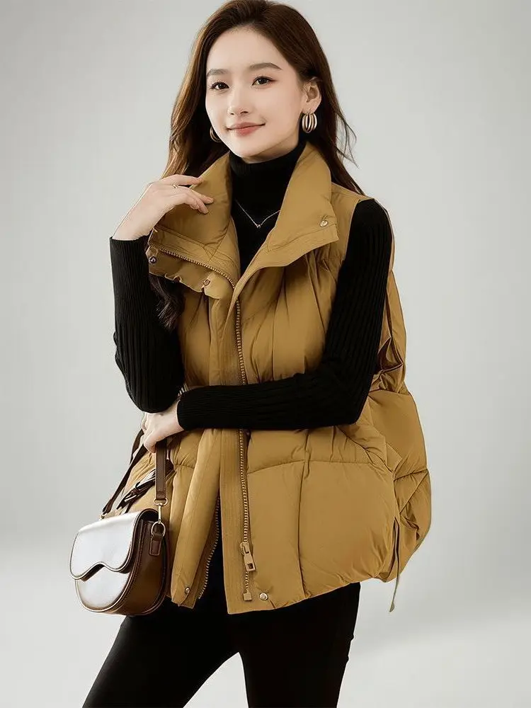 Модный утепленный хлопковый жилет для женщин больших размеров, свободный, стройнящий, осенне-зимняя верхняя одежда для повседневной носки, чистый хлопок...
Модный утепленный хлопковый жилет для женщин больших размеров, свободный, стройнящий, осенне-зимняя верхняя одежда для повседневной носки, чистый хлопок...