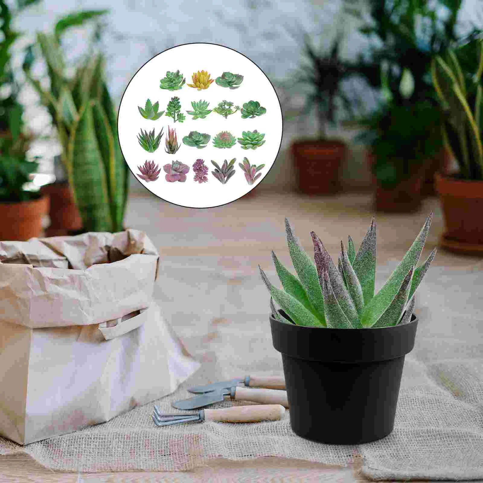 18 Pcs Simulated Succulents Imitation Ornaments Plant Decor Plants Fake Arrangements Soft Pvc Artificial Green
18 Pcs Simulated Succulents Imitation Ornaments Plant Decor Plants Fake Arrangements Soft Pvc Artificial Green