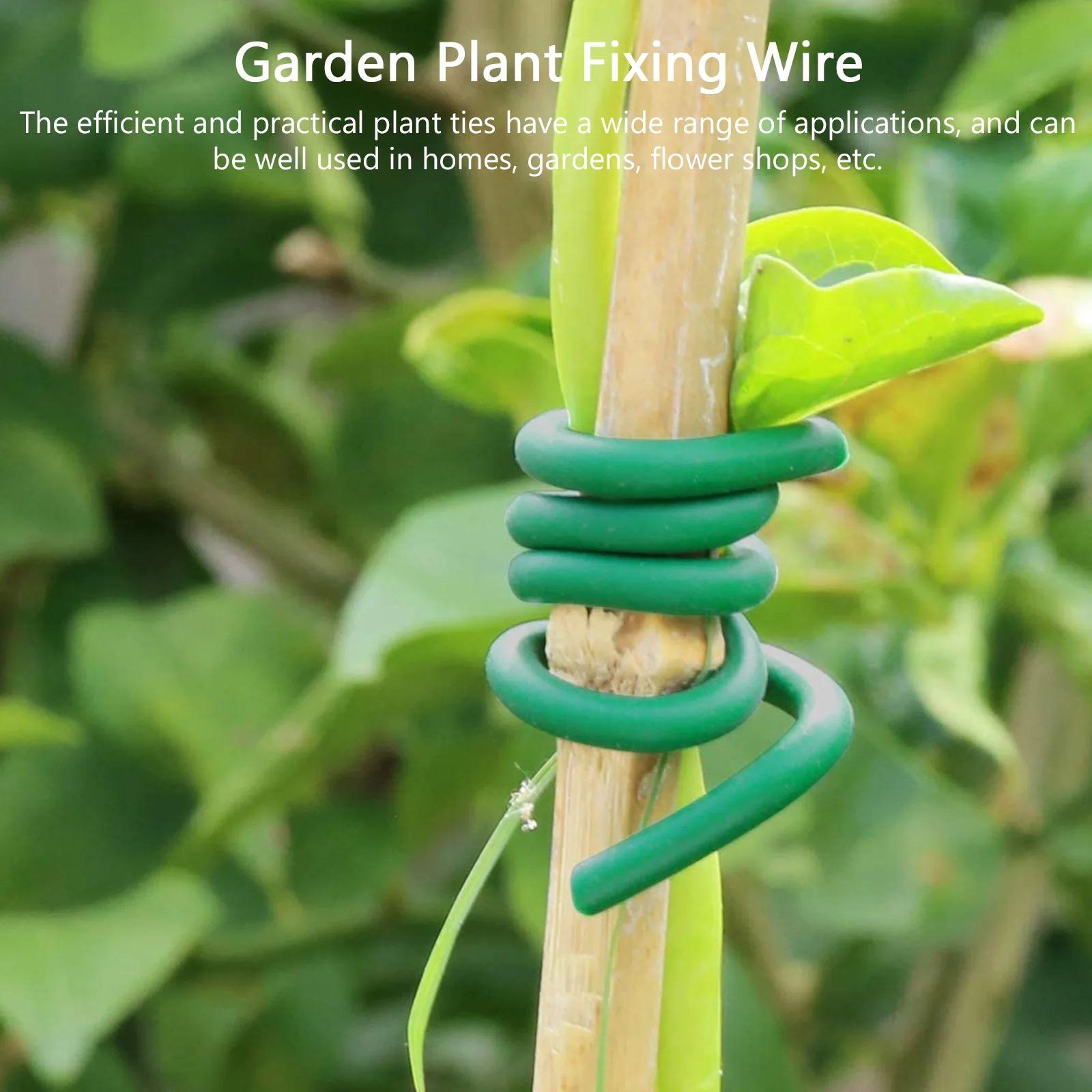Plastic Binding Plant Support Garden Fixing Cable Gardening Plant Fix Belt Soft TPR Iron Material Tie Gardening Aux Branch Vine
Plastic Binding Plant Support Garden Fixing Cable Gardening Plant Fix Belt Soft TPR Iron Material Tie Gardening Aux Branch Vine
