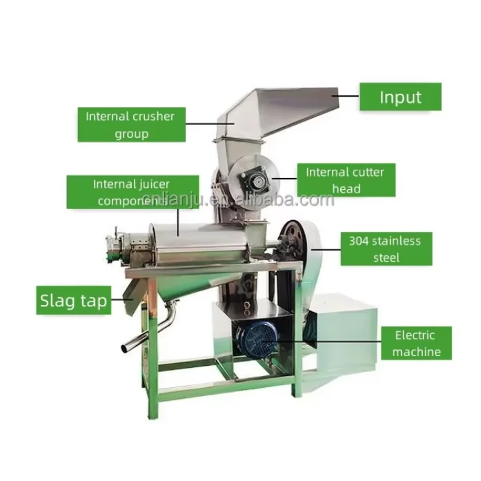 Professional High Efficiency Commercial Juicer for Fresh Fruit and Vegetable Juice Making in Smoothie Shops
Professional High Efficiency Commercial Juicer for Fresh Fruit and Vegetable Juice Making in Smoothie Shops