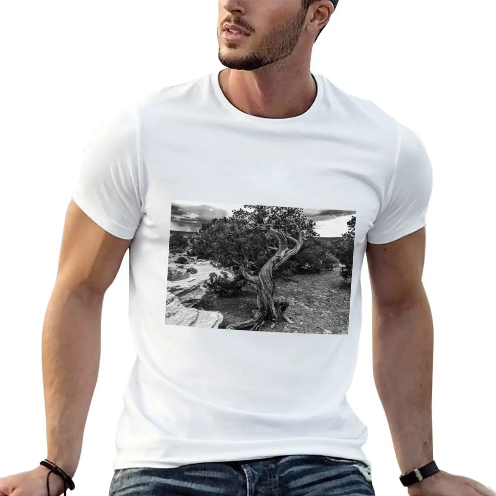 Twisted Wood in the Canyonlands T-Shirt plus size tops vintage anime shirt black t-shirts for men
Twisted Wood in the Canyonlands T-Shirt plus size tops vintage anime shirt black t-shirts for men