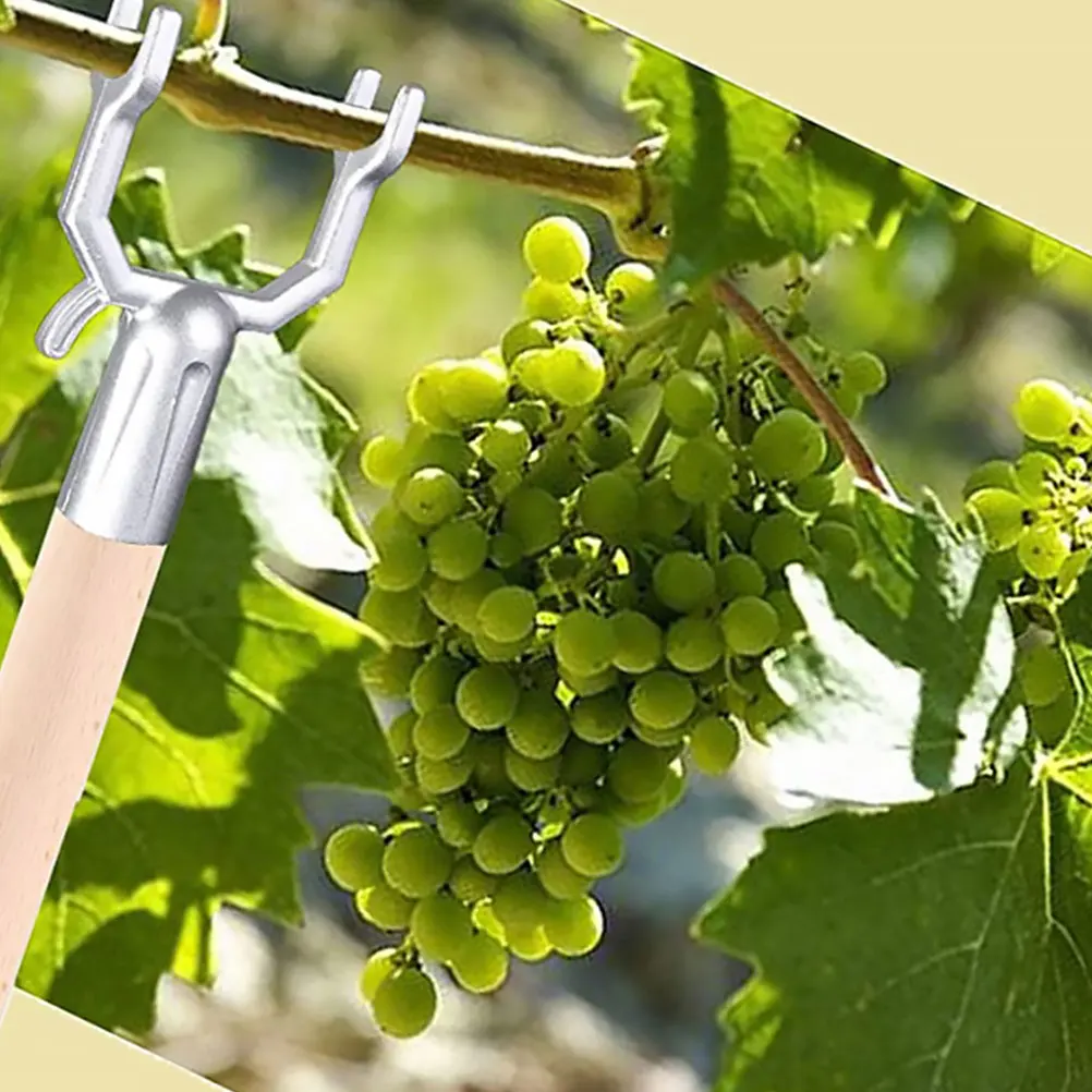 10 pcs Fruit Tree Support Fork Metal Branch Brace Garden Plant Stake Anti Snow Pressure Orchard Decor U Shape 19 Hole Durable
10 pcs Fruit Tree Support Fork Metal Branch Brace Garden Plant Stake Anti Snow Pressure Orchard Decor U Shape 19 Hole Durable