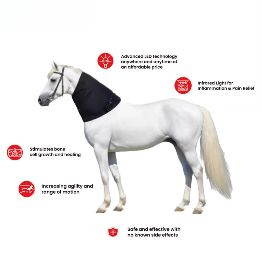 Red Light Targeting Neck Areas Veterinary Instrument Infrared Therapy Blanket Horse Racing Equestrian Rug HealthCare
Red Light Targeting Neck Areas Veterinary Instrument Infrared Therapy Blanket Horse Racing Equestrian Rug HealthCare