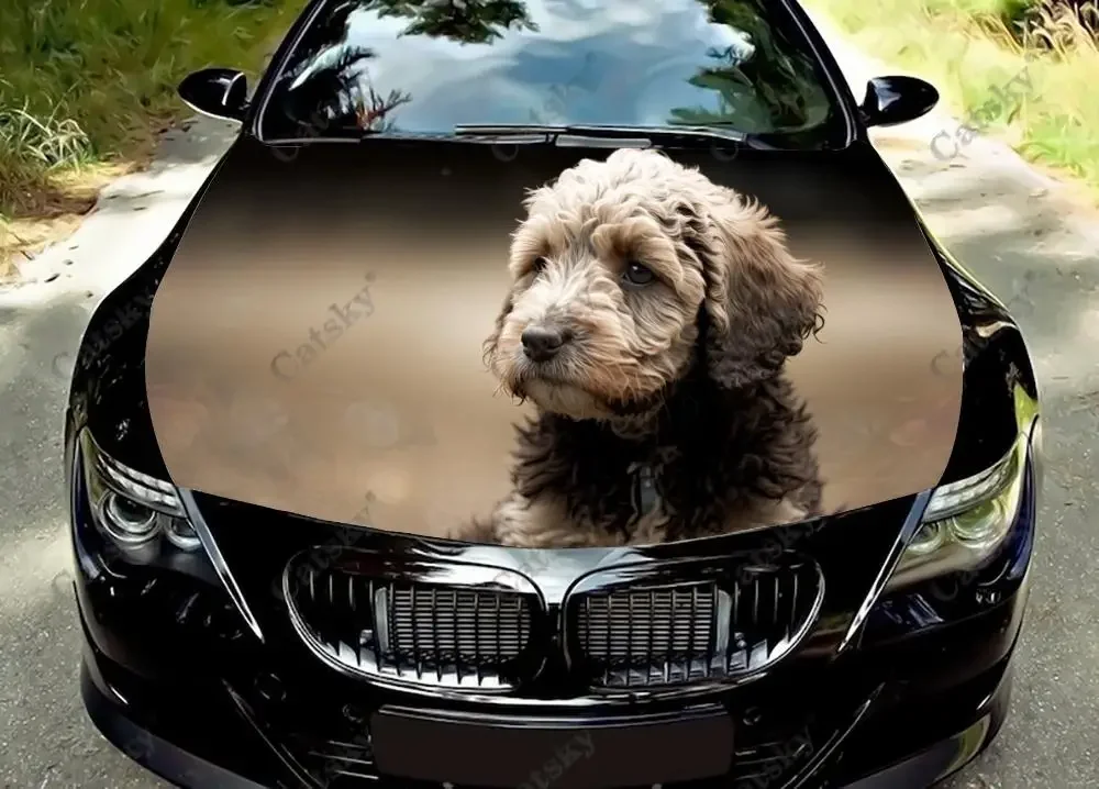 Lagotto Romagnolo Car Hood Vinyl Stickers Wrap Vinyl Film Engine Cover Decals Sticker Universal Car Hood Protective Film
Lagotto Romagnolo Car Hood Vinyl Stickers Wrap Vinyl Film Engine Cover Decals Sticker Universal Car Hood Protective Film