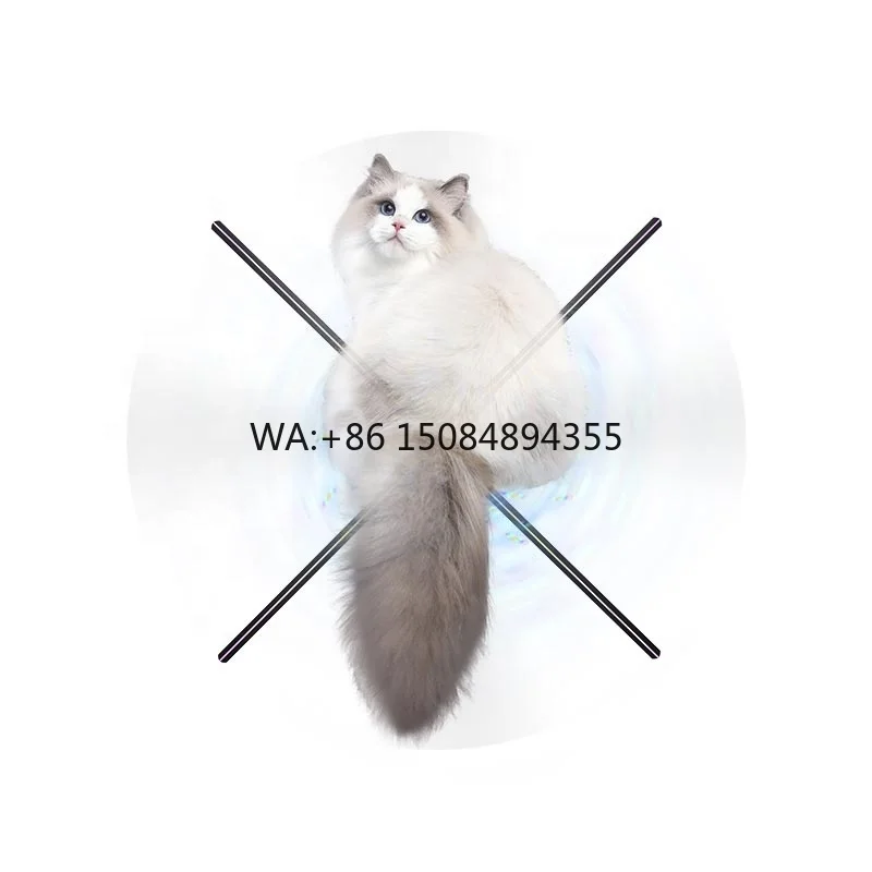 New Technology 4 Blades 52cm 3D Holographic Fan with Outdoor Advertising Display OEM
New Technology 4 Blades 52cm 3D Holographic Fan with Outdoor Advertising Display OEM