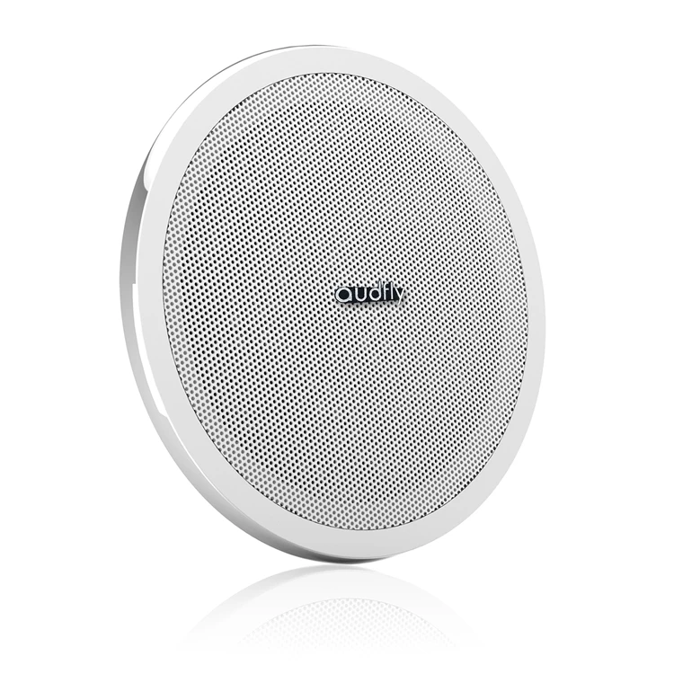 2026 Audfly Speaker Directive Ultrasound Ceiling and in Wall Directional Speakers
2026 Audfly Speaker Directive Ultrasound Ceiling and in Wall Directional Speakers