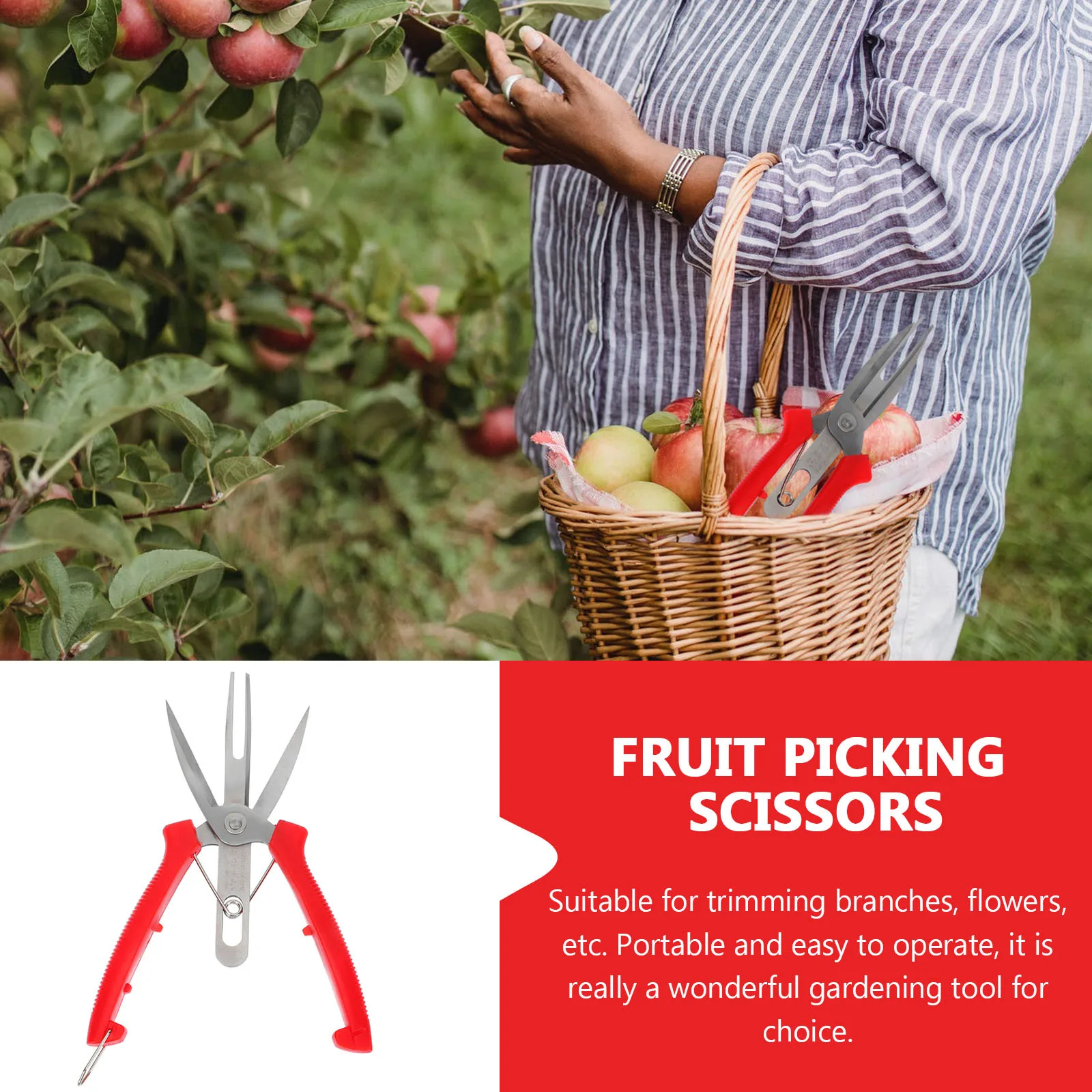 1Pcs Portable Garden Pruning Shear Double Mouth Design Non Slip Handle Fruit Tree Scissors Pruning Shear Double Mouth Scissors
1Pcs Portable Garden Pruning Shear Double Mouth Design Non Slip Handle Fruit Tree Scissors Pruning Shear Double Mouth Scissors