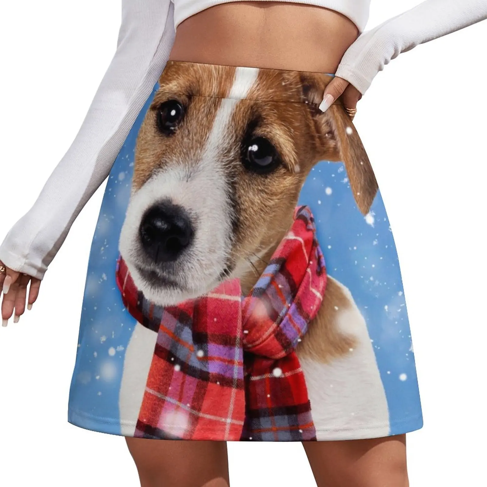 Cute Jack Russell Terrier dog wearing a scarf Mini Skirt japanese fashion 90s vintage clothes Korean clothing
Cute Jack Russell Terrier dog wearing a scarf Mini Skirt japanese fashion 90s vintage clothes Korean clothing