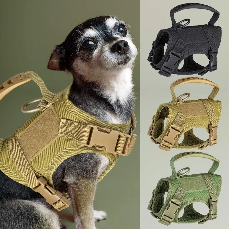 List of Top 5 Best dog harness Baying Guide