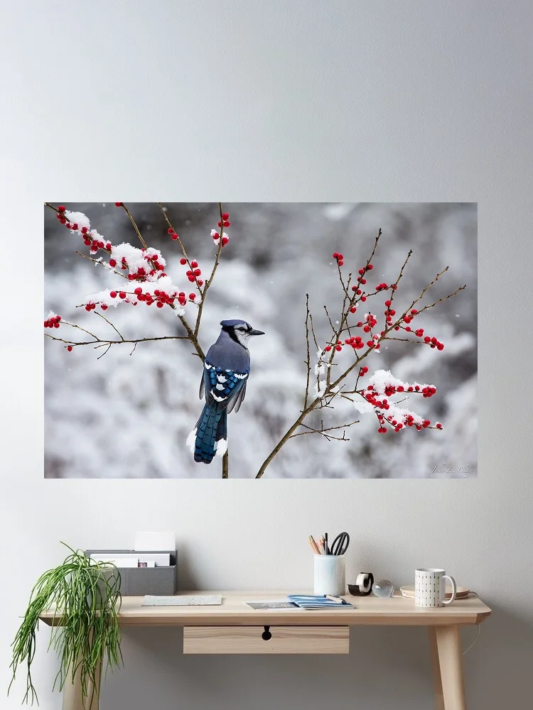 Blue Jay Elegance: Stunning Art Print Canvas Poster, Living Room Decor, Home Wall Picture
Blue Jay Elegance: Stunning Art Print Canvas Poster, Living Room Decor, Home Wall Picture