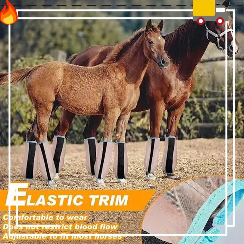 Leggings Horse Leggings Equestrian Supplies Horse Leggings Anti-Mosquito Protective Gear Hoof Protection Horse Leggings
Leggings Horse Leggings Equestrian Supplies Horse Leggings Anti-Mosquito Protective Gear Hoof Protection Horse Leggings