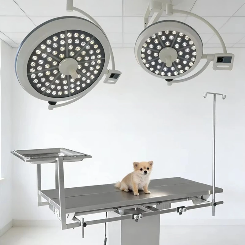 Veterinary LED Shadowless Operation Light LED Surgical Lamp Portable Examination Light Veterinary Equipment for Pet Clinic
Veterinary LED Shadowless Operation Light LED Surgical Lamp Portable Examination Light Veterinary Equipment for Pet Clinic