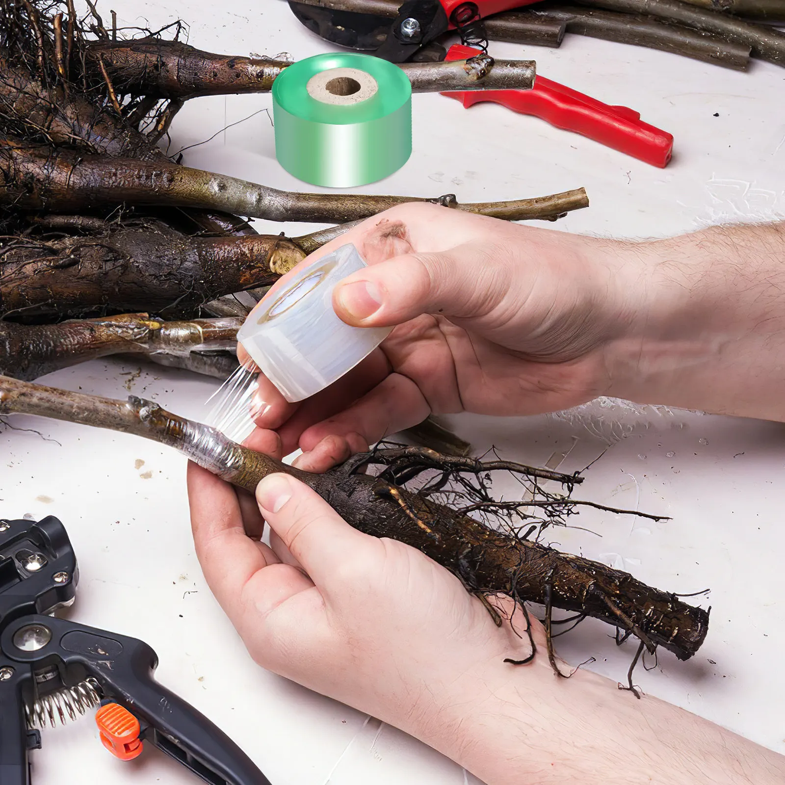 2 рулона высокоэластичной самоклеящейся ленты для прививки плодовых деревьев, садовых веток, цветов и овощей
2 рулона высокоэластичной самоклеящейся ленты для прививки плодовых деревьев, садовых веток, цветов и овощей