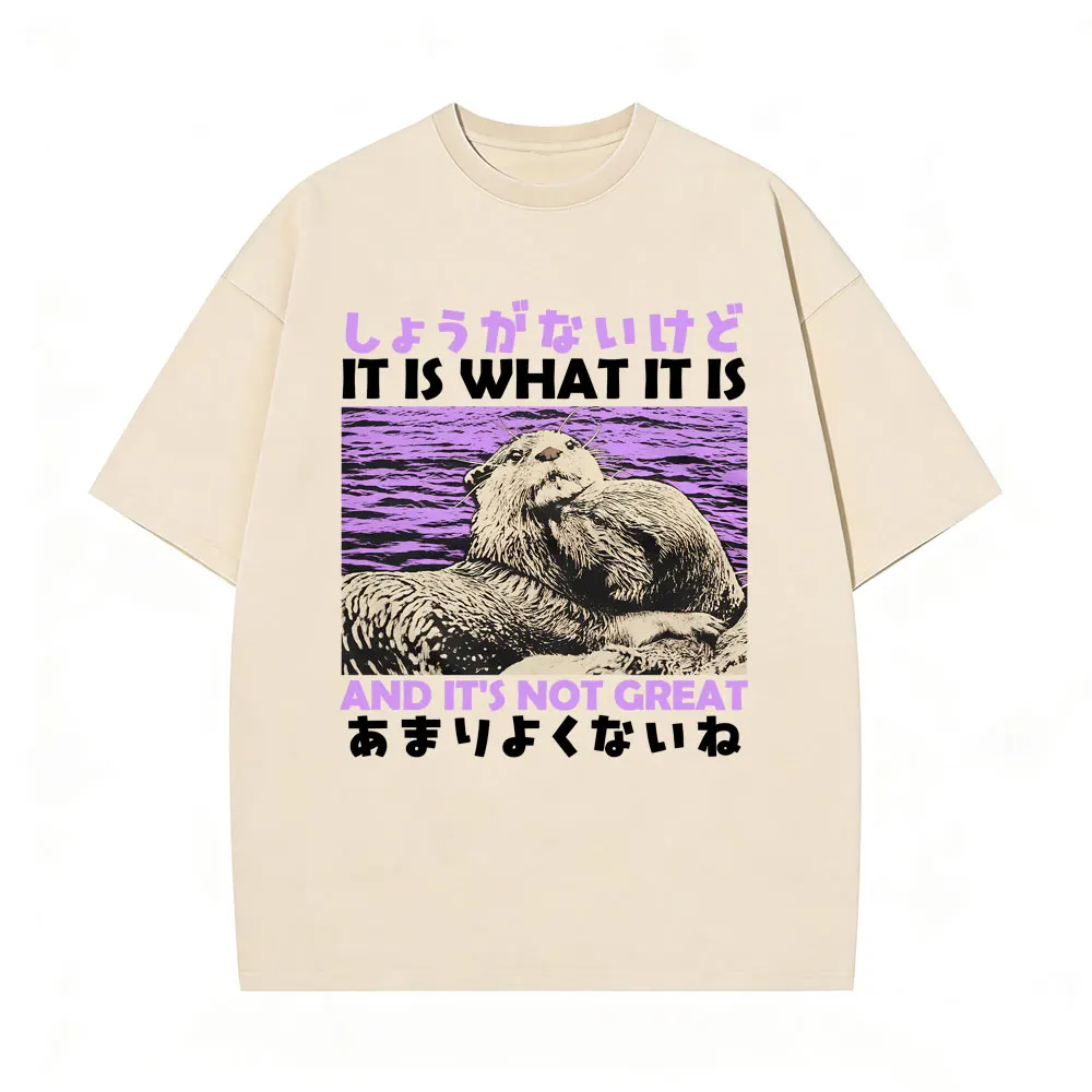 It Is What It Is and It's Not Great T-shirt Funny Japanese Style Capybara Vintage Washed T Shirt Men Women Casual Retro T-shirts
It Is What It Is and It's Not Great T-shirt Funny Japanese Style Capybara Vintage Washed T Shirt Men Women Casual Retro T-shirts