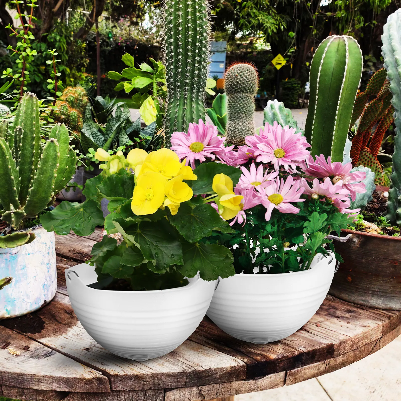 Набор из 4 подвесных кашпо: пластиковые горшки для цветов большой вместимости, вертикальные корзины для растений для дома и улицы, для суккулентов и вьющихся растений
Набор из 4 подвесных кашпо: пластиковые горшки для цветов большой вместимости, вертикальные корзины для растений для дома и улицы, для суккулентов и вьющихся растений