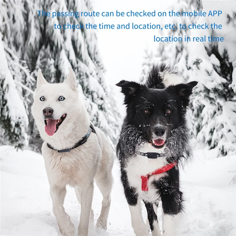 Mini Tracker Waterproof Dog GPS Collar Dog Collar Cats Locator Smart Trackeing Alarm Device WIFI
Mini Tracker Waterproof Dog GPS Collar Dog Collar Cats Locator Smart Trackeing Alarm Device WIFI