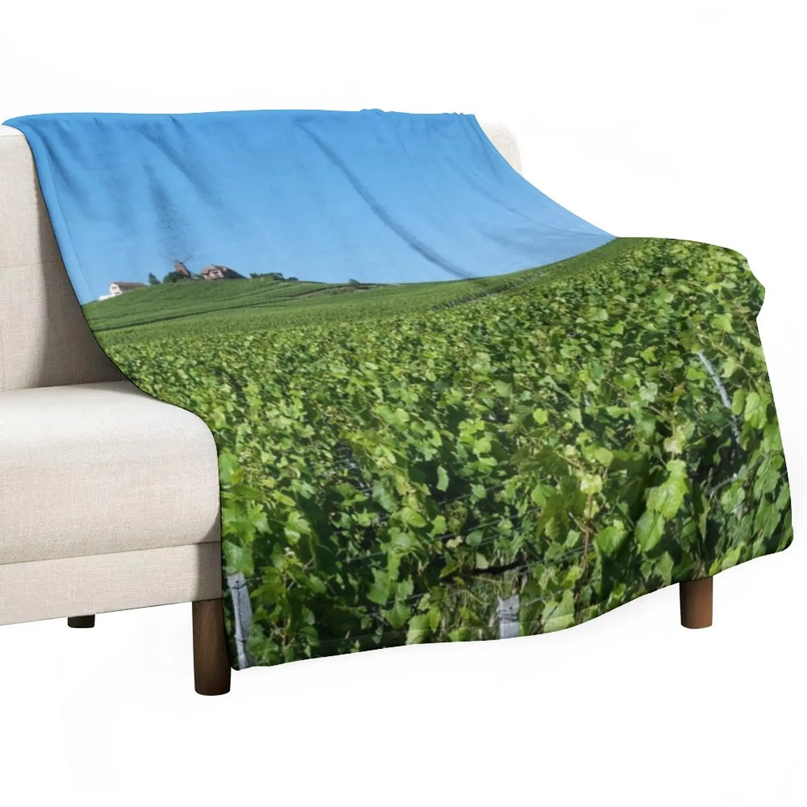 Awesomevineyards photo from Verzenay France | gift for wine loversoenologist and wine makers Throw Blanket Picnic Blanket
Awesomevineyards photo from Verzenay France | gift for wine loversoenologist and wine makers Throw Blanket Picnic Blanket
