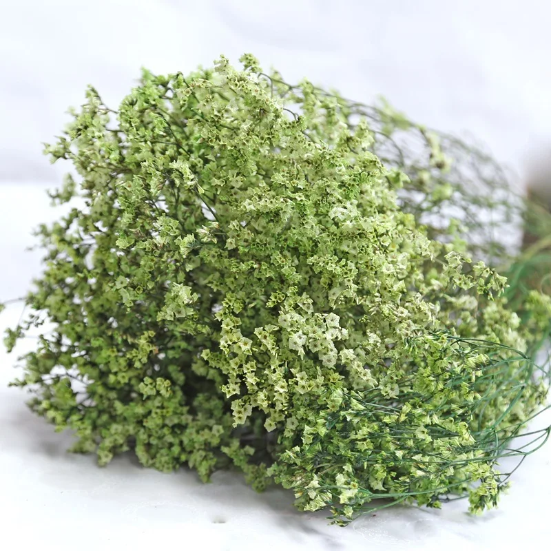 Natural Fresh Dried Preserved Flowers Crystal Grass Diy Gift Bouquet Valentine'S Day Mother'S Day Gift Wedding Decoration Plants
Natural Fresh Dried Preserved Flowers Crystal Grass Diy Gift Bouquet Valentine'S Day Mother'S Day Gift Wedding Decoration Plants